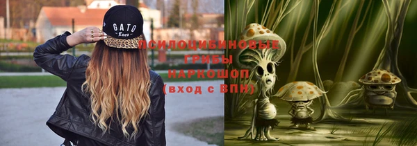 гидропоника Медногорск