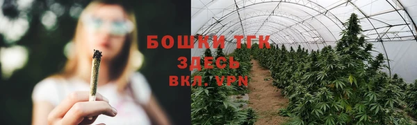 индика Ростов