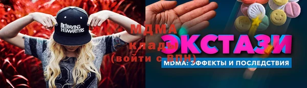 индика Ростов