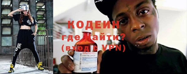 индика Ростов