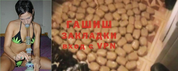 индика Ростов