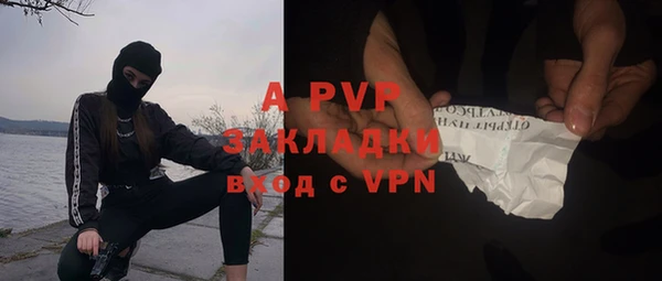 индика Ростов