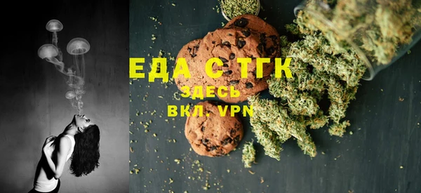 индика Ростов