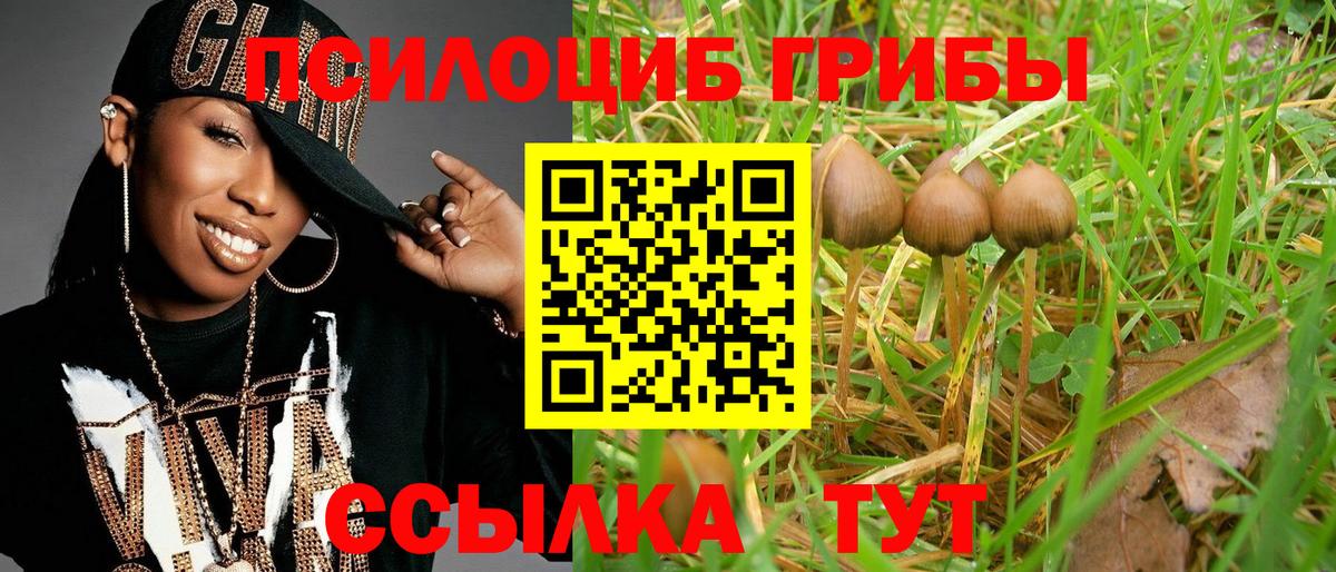 Галлюциногенные грибы MAGIC MUSHROOMS  Псилоцибиновые грибы ЛСД  Вход с VPN  Евпатория 