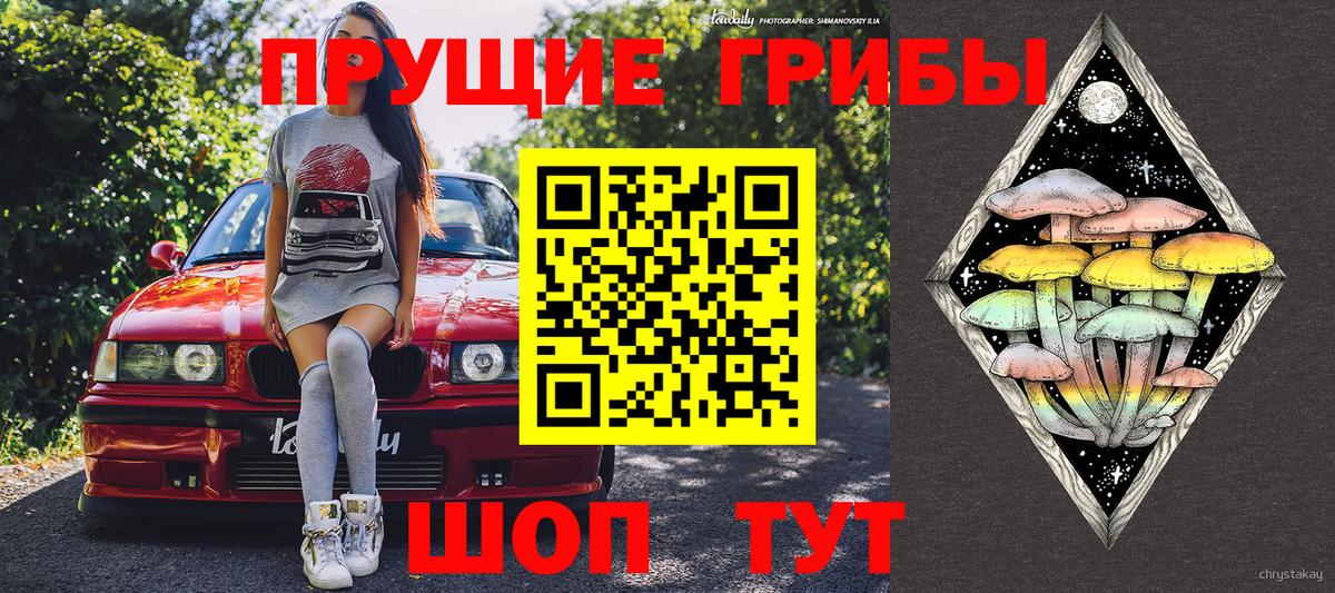Галлюциногенные грибы Cubensis Евпатория